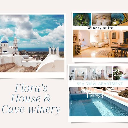 피르고스 Flora'S House & Cave Winery 빌라 외부 사진