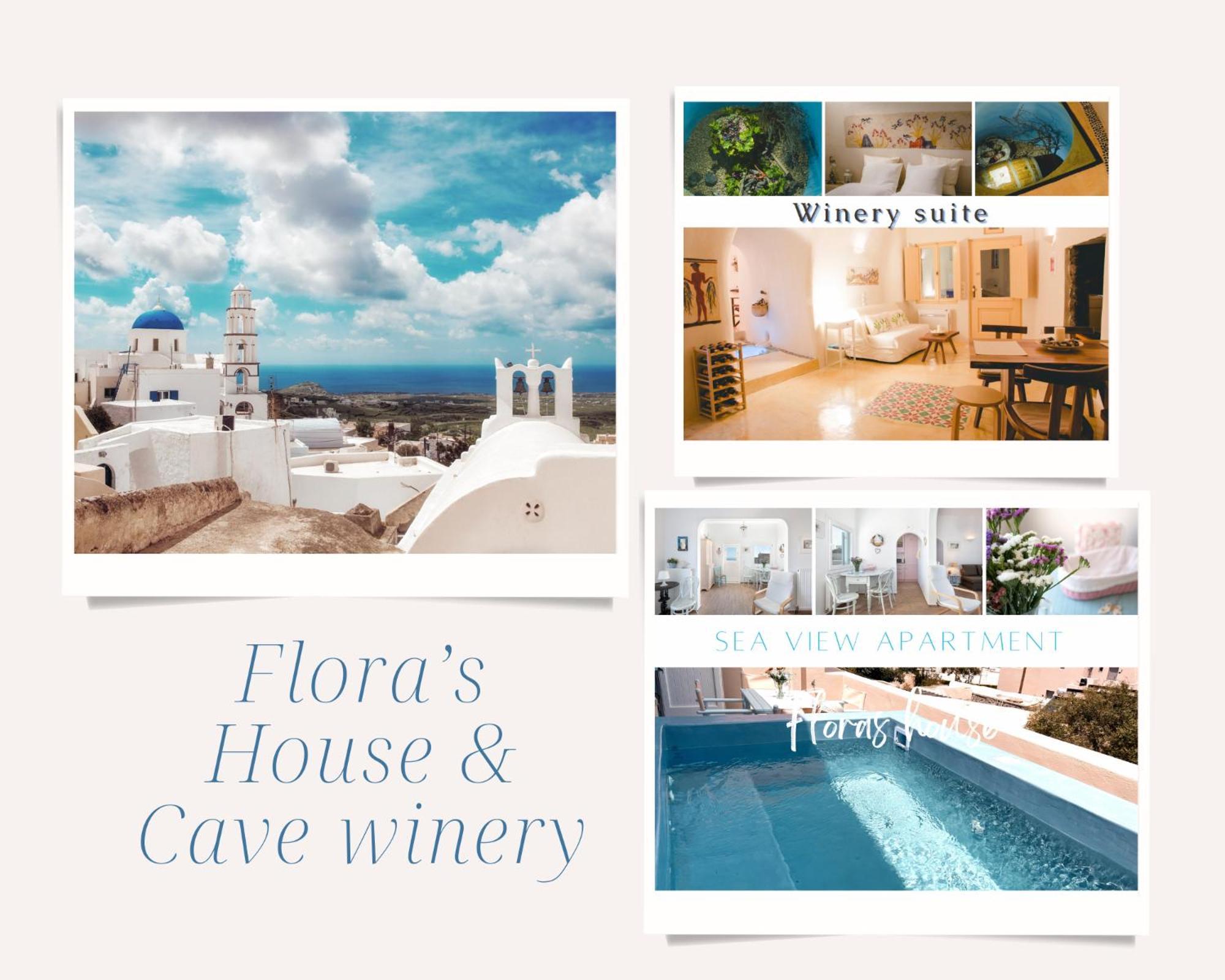 피르고스 Flora'S House & Cave Winery 빌라 외부 사진